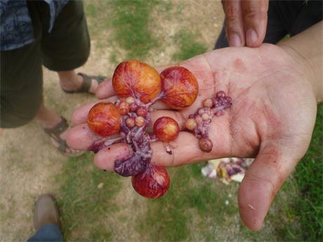 �����ں���ʡ�I���h���u�������gָ�����D�V�W��