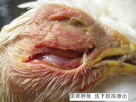 ���ʕr��ԓ��ʲô��λ��ʲô��λ�l(f��)��ʲô����